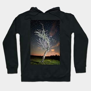 Night landscape with tree Hoodie